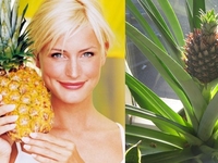 Как вырастить ананас из купленного в магазине