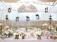 Свадьба в стиле романтика Парижа