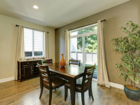 Почему желтеют листья фикуса