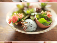 Готовимся к Пасхе 2013: Садим цветы в яичную скорлупу