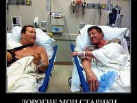 1 апреля: Смешные демотиваторы со звездами