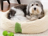 Лежанка для питомца из старого свитера: Пошаговка