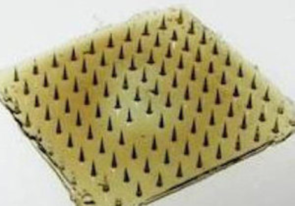 Ученые создали сверхклейкий биопластырь, используя паразитических червей