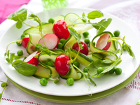 Весенние салаты из редиса: ТОП-5 рецептов