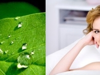 Чем опасен сухой воздух в квартире и как этого избежать