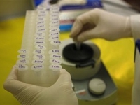 Ученые приблизились к созданию универсальной вакцины