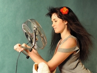 Спасаемся от жары: Выбираем вентилятор (ВИДЕО)