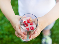 Как приготовить идеальный лед для летних коктейлей