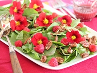 Съедобные цветы: 10 самых вкусных видов