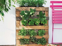 Огород в квартире: Инструкция по обустройству (ВИДЕО)