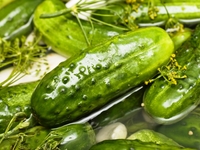 Малосольные огурцы: Три вкусные идеи