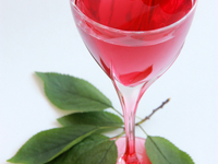 Как приготовить вишневую наливку