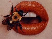 Аллергия на укусы насекомых: Что следует знать?