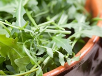 Руккола: История, полезные свойства и рецепты