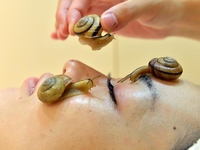 Жертвы красоты: В Японии делают массаж с улитками