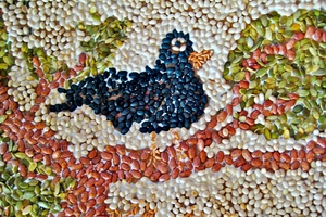 Как сделать мозаику из круп (ВИДЕО)