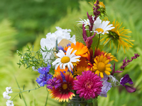 Поздравления с Днем войск связи Украины