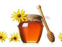 Как выбрать вкусный и полезный мед