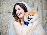 8 фото, которые помогут тебе отвлечься от предсвадебной суеты