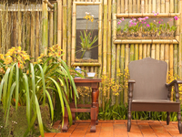 Как правильно ухаживать за комнатными растениями