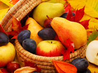 Продукты сентября: ТОП-7 самых полезных