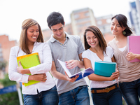 Техникумы и колледжи исключат из системы высшего образования