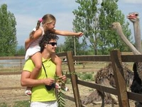 В Украине учредили еще один праздник - День отца