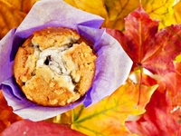 Что приготовить на завтрак осенью: ТОП-5 рецептов