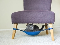 Как сделать квартиру уютной для кота (ФОТО)