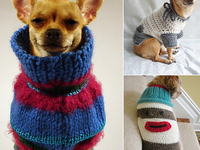 Пушистые модели: Фото домашних любимцев в уютных свитерах