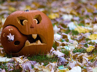 Идеи на Хэллоуин: Самые забавные тыквы (ФОТО)