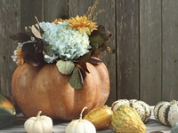 Осенний декор: Как сделать вазу из тыквы