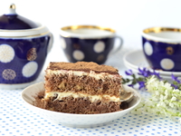 Шоколадный торт со сметанным кремом