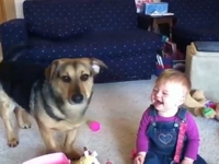 Заразительный смех: Ребенок троллит собаку