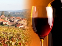 Божоле нуво: Праздник молодого вина