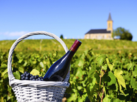 Во Франции отмечают праздник молодого вина