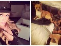 Звезды и их домашние любимцы: ТОП-7 фото