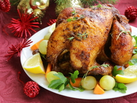 Новогодние блюда из птицы: ТОП-10 рецептов