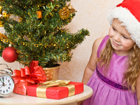 Какие подарки принесет детям Дед Мороз в 2014 году