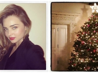 Новый год 2014: ТОП-9 фото елок звезд