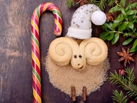 Что приготовить на Новый год Синей Козы