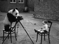 Как фотографировали детей сто лет назад