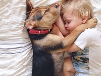 Неразлучные друзья: Сладкие сны щенка и его маленького хозяина