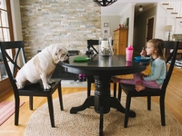 Семейный альбом: Девочка и английский бульдог