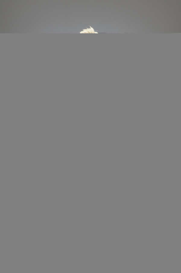 Модель Соломия Згода: В Украине чувствую себя звездой