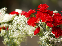 Как сделать красивые букеты для украшения стола (ВИДЕО)