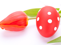 Как покрасить яйца луковой шелухой: Узор в крапинку