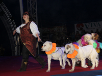 Цирк Кобзов представил новую программу в Киеве