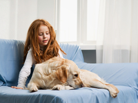 Чем занять ребенка в дождливые дни