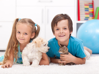 Как выбрать ребенку животное